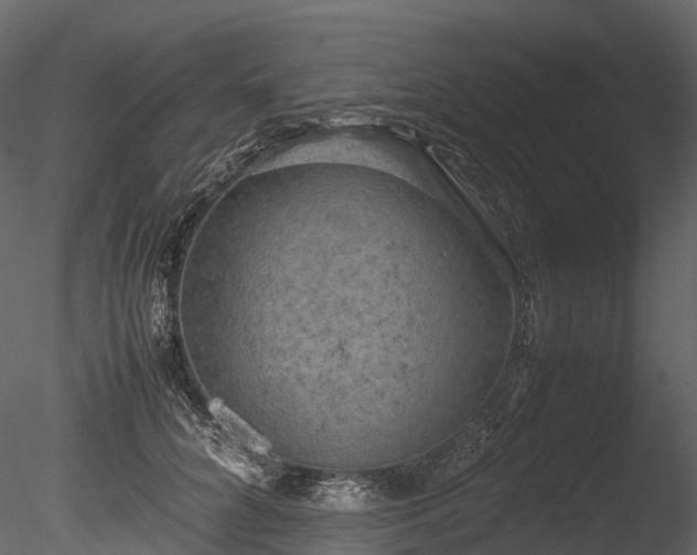 X0000085250704200703161252