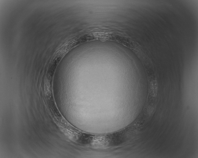 X0000085250705200703161252