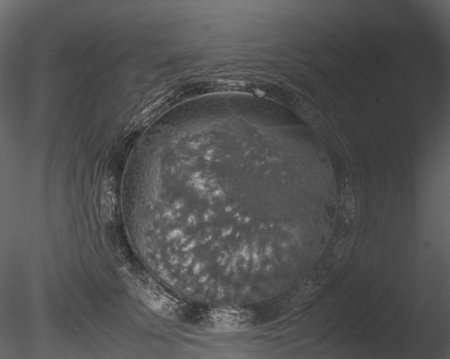 X0000085250707200703161252