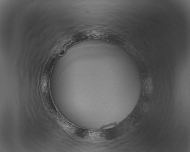 X0000085250709200703161252