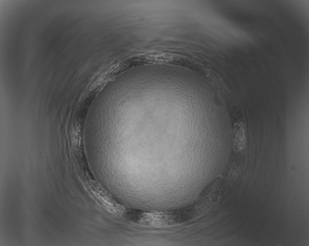 X0000085250713200703161252