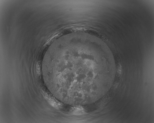 X0000085250715200703161252