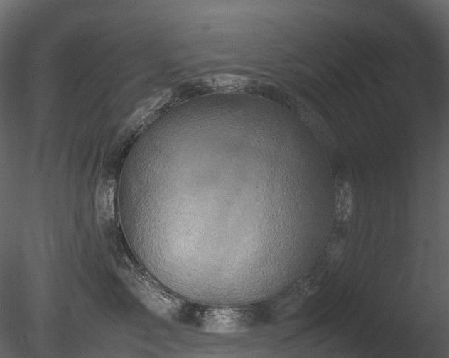 X0000085250717200703161252