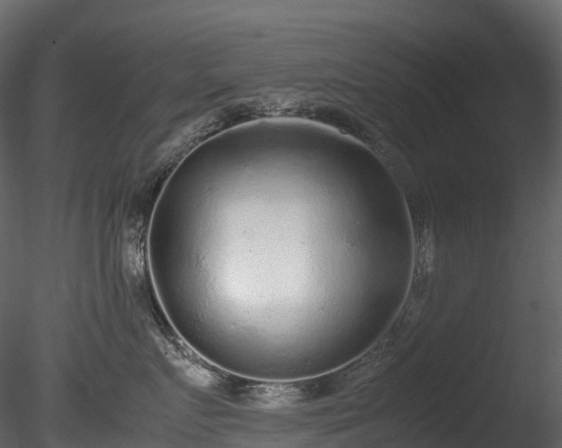 X0000085250719200703161252