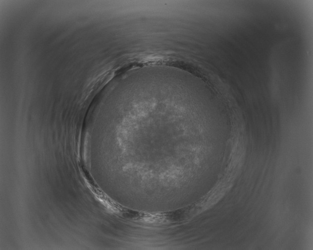 X0000085250720200703161252