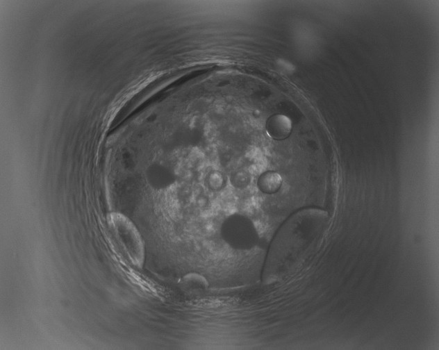 X0000085250721200703161251