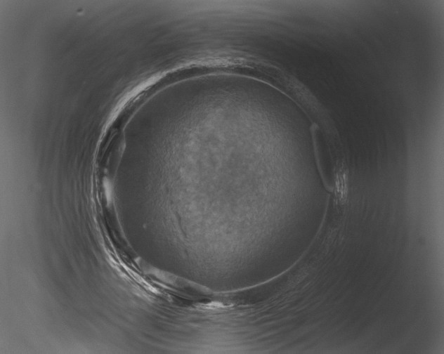 X0000085250724200703161251