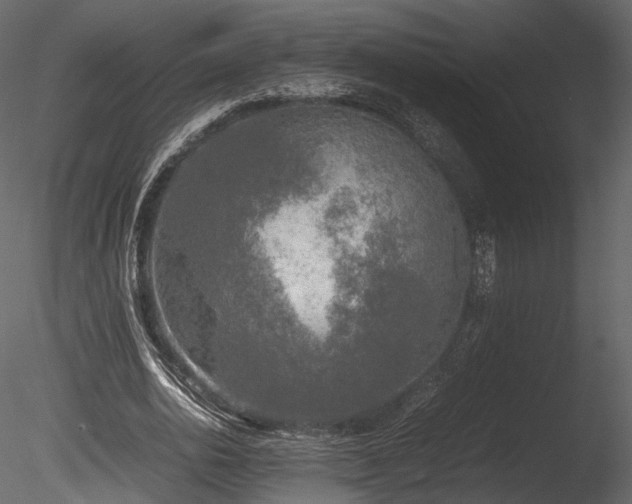 X0000085250726200703161251