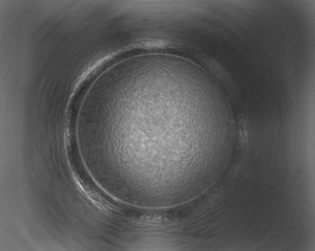 X0000085250728200703161251