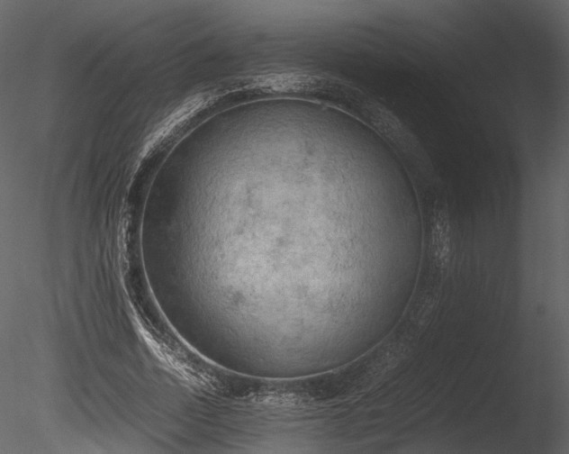 X0000085250730200703161251