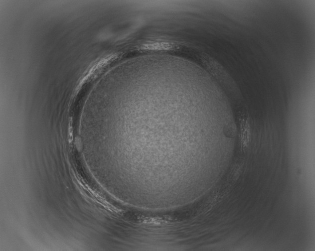 X0000085250731200703161251