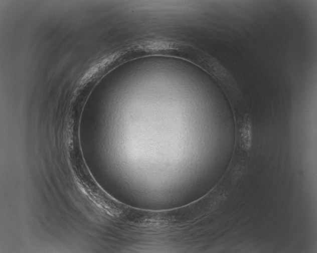 X0000085250732200703161251