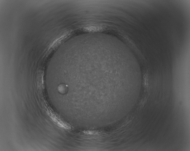 X0000085250733200703161251