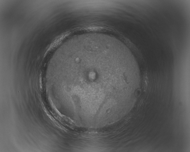 X0000085250734200703161251