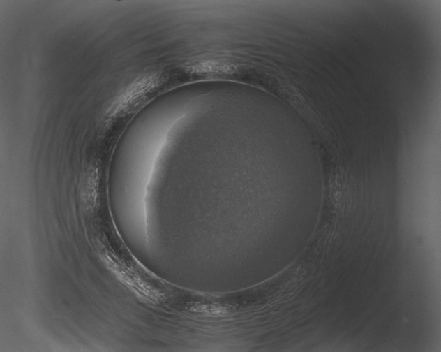 X0000085250735200703161251