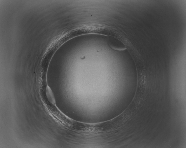 X0000085250736200703161251