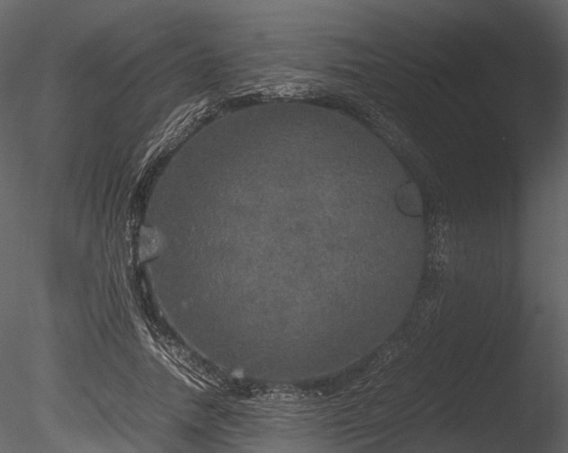 X0000085250738200703161252