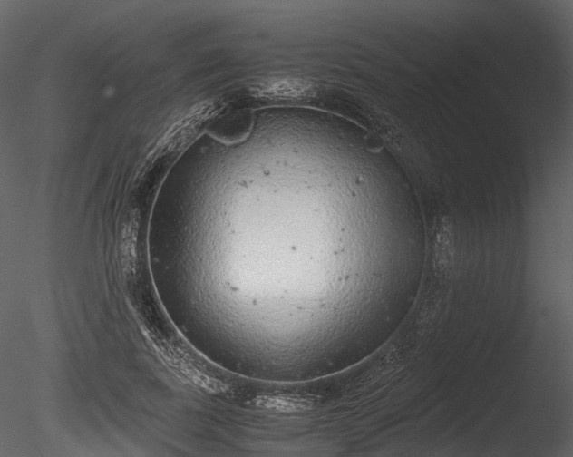 X0000085250739200703161252