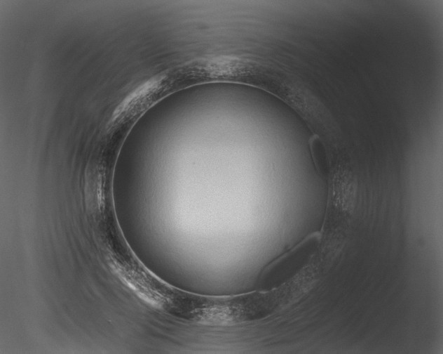 X0000085250740200703161252