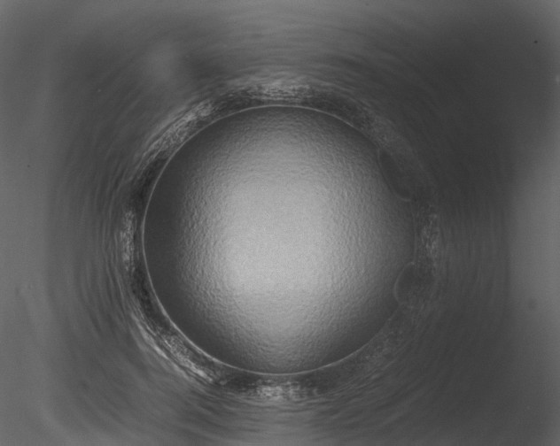 X0000085250744200703161252