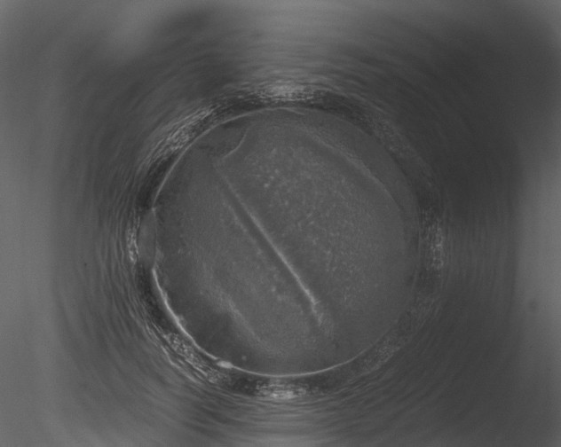 X0000085250746200703161252