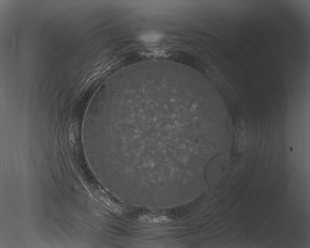 X0000085250747200703161252