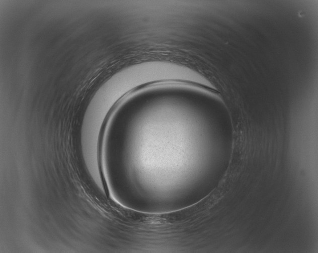 X0000085250750200703161252