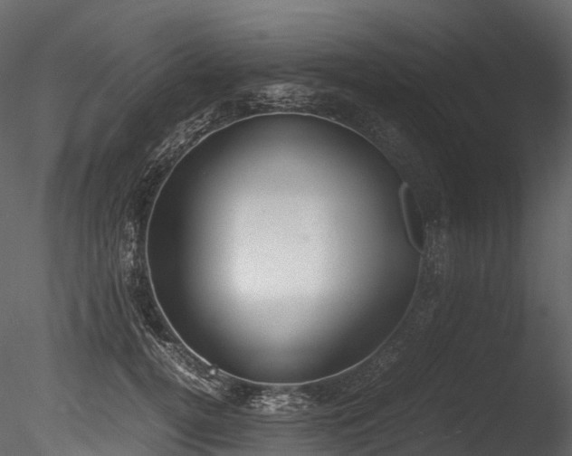 X0000085250752200703161252