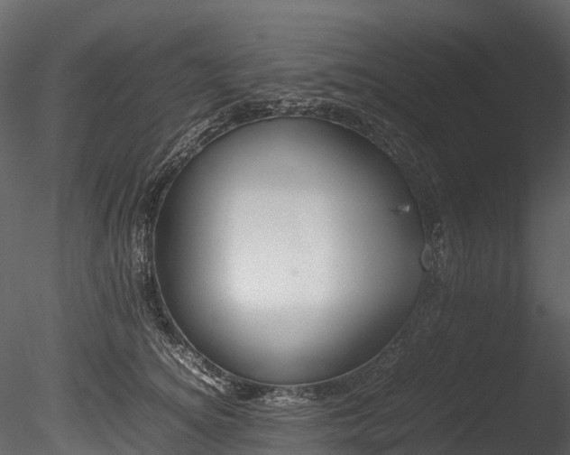 X0000085250756200703161252