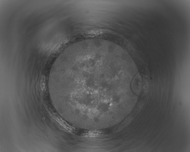 X0000085250758200703161252