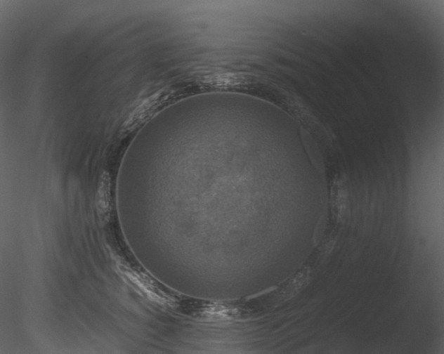 X0000085250760200703161252