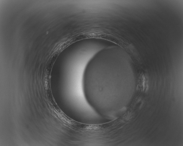 X0000085250762200703161252