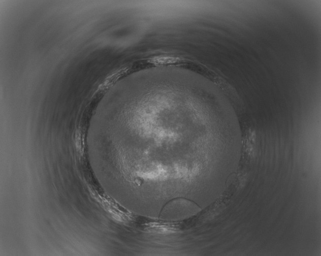 X0000085250763200703161252