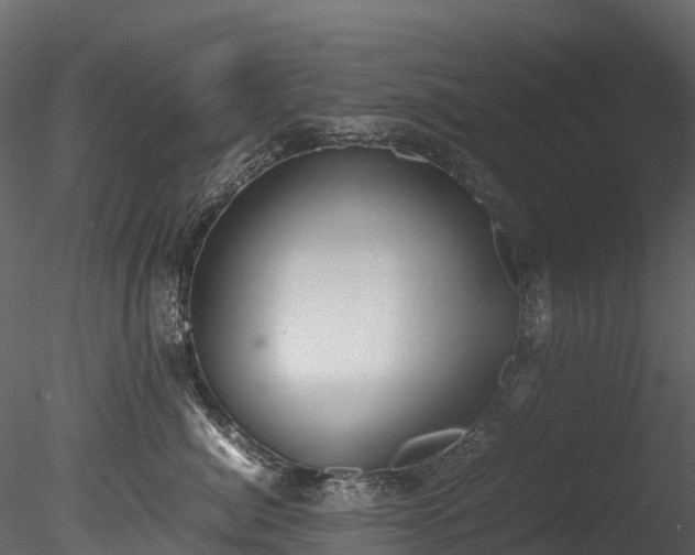 X0000085250764200703161252