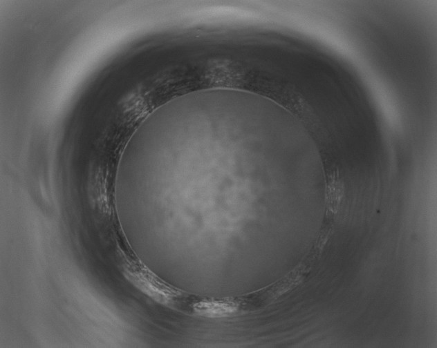 X0000085250765200703161252