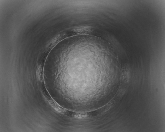 X0000085250767200703161252