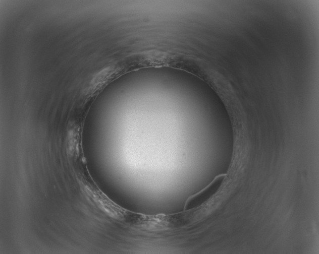 X0000085250768200703161252