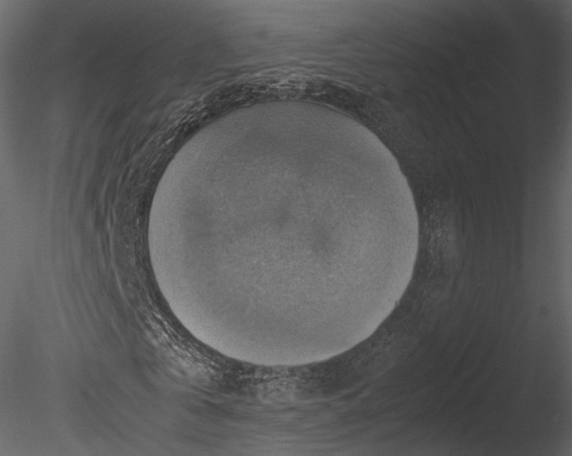 X0000085250769200703161251