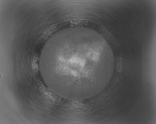 X0000085250770200703161251