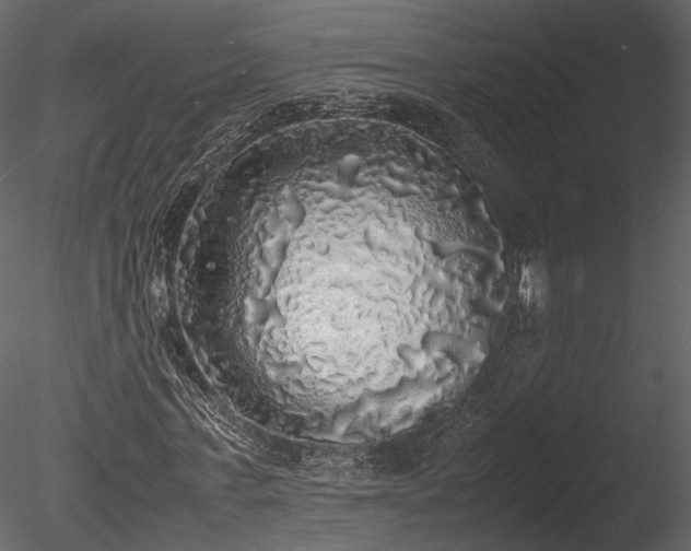 X0000085250771200703161251