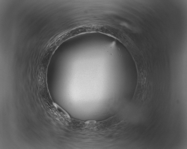 X0000085250773200703161251