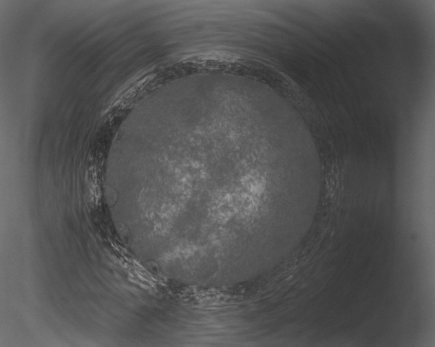 X0000085250774200703161251