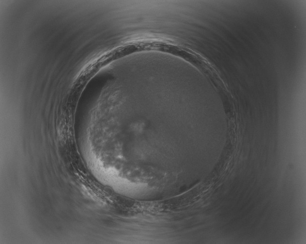 X0000085250775200703161251