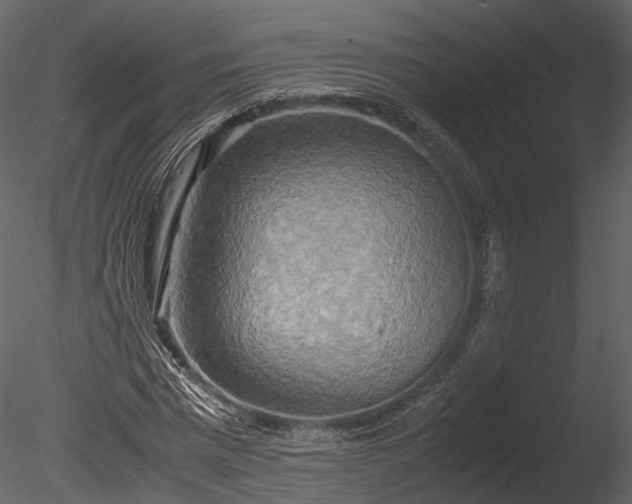 X0000085250777200703161251