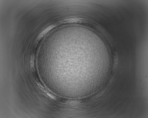 X0000085250778200703161251