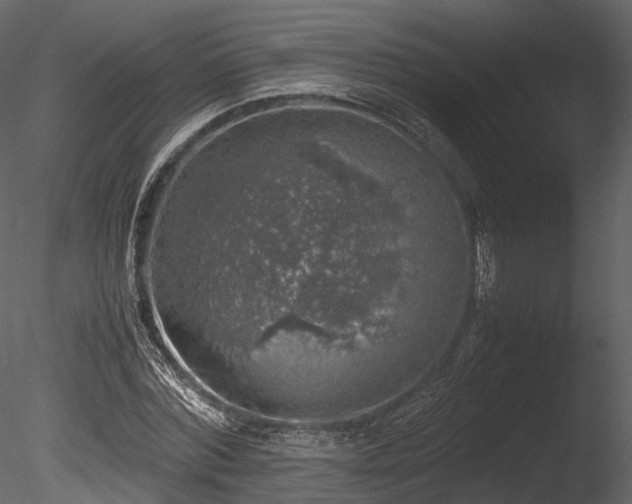 X0000085250780200703161251