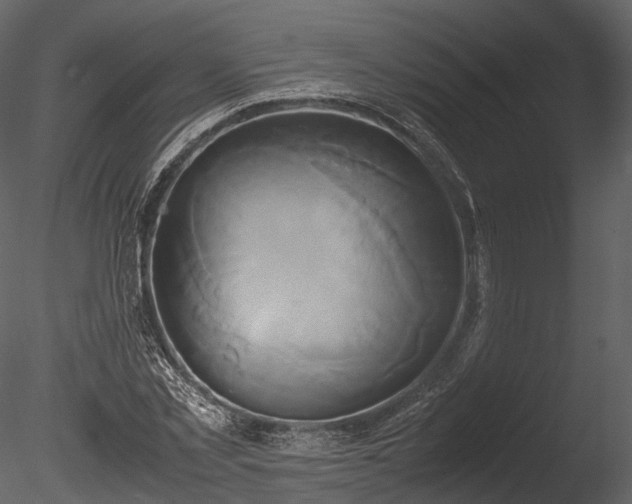 X0000085250781200703161251