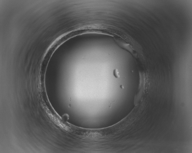 X0000085250784200703161251