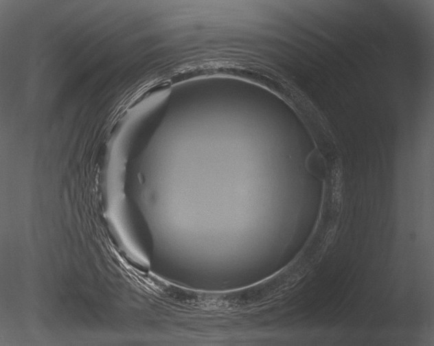 X0000085250785200703161251