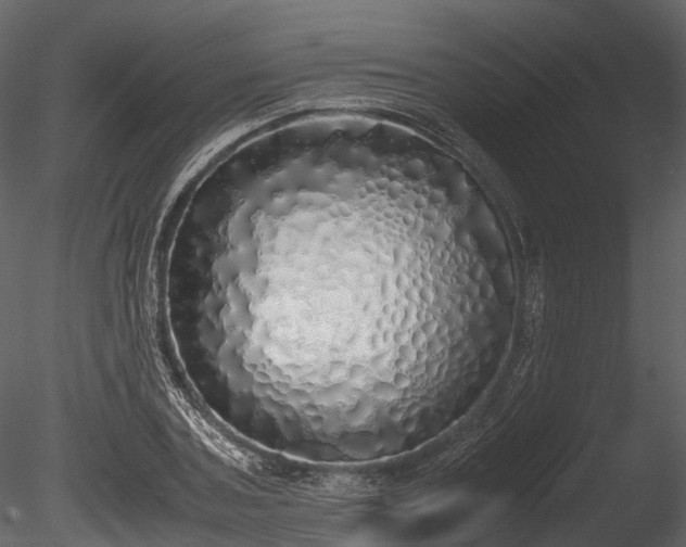 X0000085250787200703161251